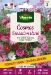 Fleurs - Cosmos Sensation Varié - Grand Modèle - face recto